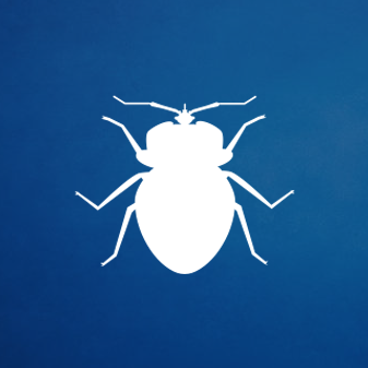 Professional Bed Bug Extermination